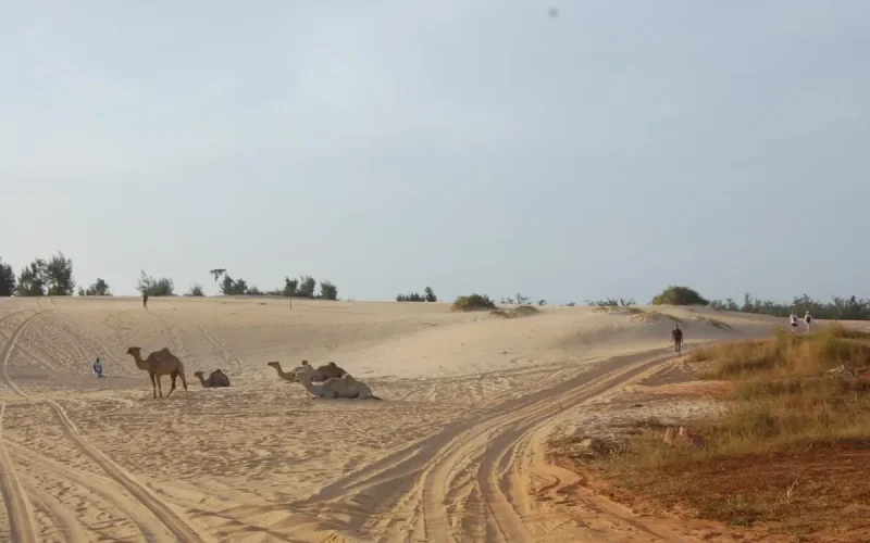 Senegal