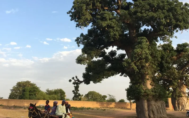 Senegal