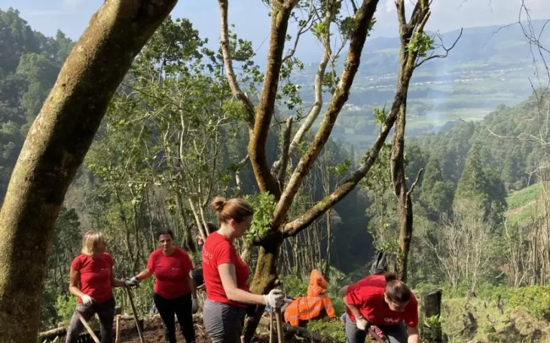Açores