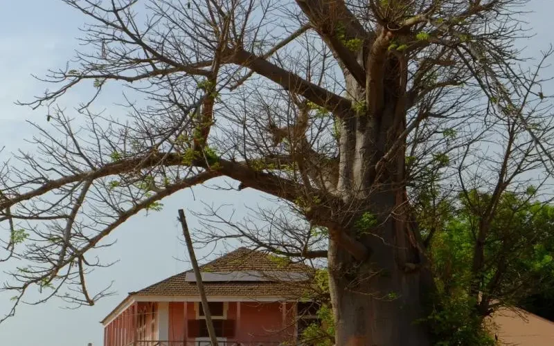 Guiné-Bissau