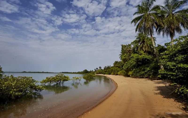 Guiné-Bissau